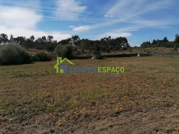 Terreno para Venda em Castelo Branco