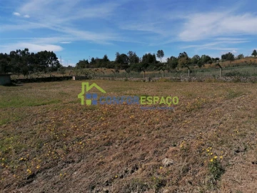 Terreno para Venda em Castelo Branco