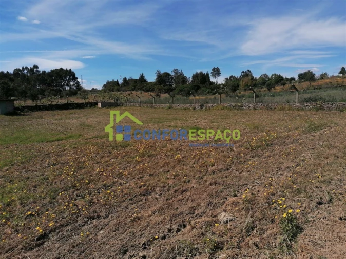 Terreno para Venda em Castelo Branco Foto 11