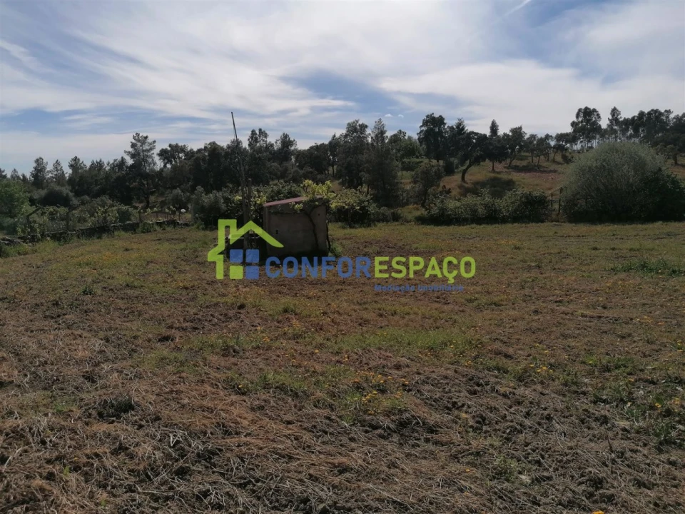 Terreno para Venda em Castelo Branco Foto 8