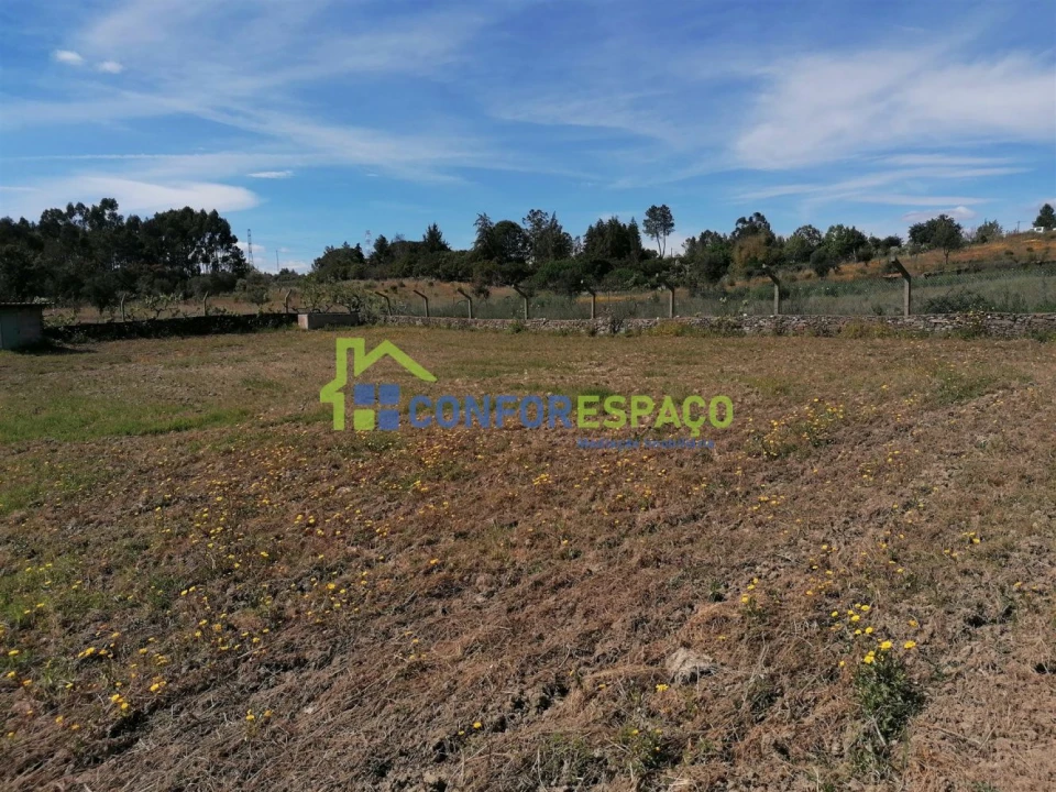 Terreno para Venda em Castelo Branco Foto 11
