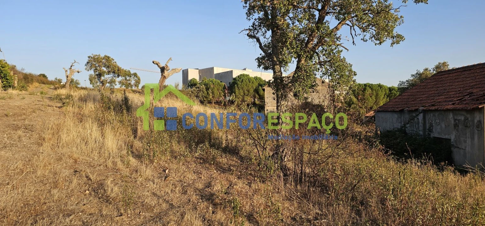Quinta T0 para Venda em Castelo Branco Foto 13