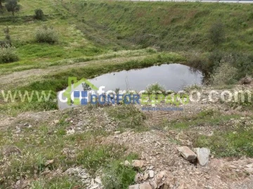 Quinta T0 para Venda em Castelo Branco