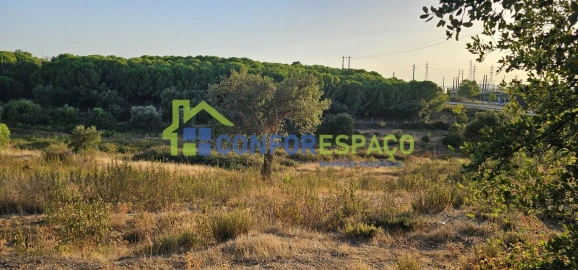 Quinta T0 para Venda em Castelo Branco