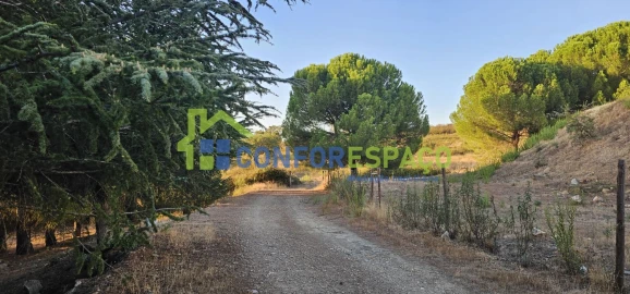 Quinta T0 para Venda em Castelo Branco