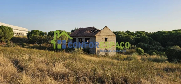 Quinta T0 para Venda em Castelo Branco