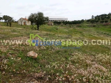 Quinta T0 para Venda em Castelo Branco