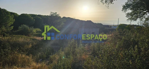 Quinta T0 para Venda em Castelo Branco