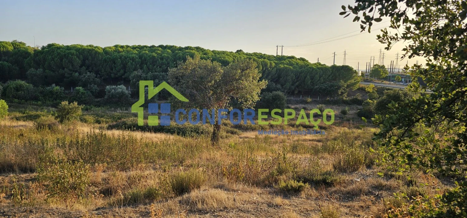 Quinta T0 para Venda em Castelo Branco Foto 4