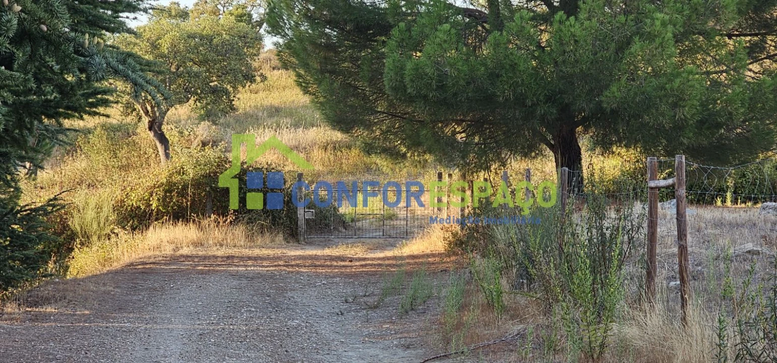 Quinta T0 para Venda em Castelo Branco Foto 34
