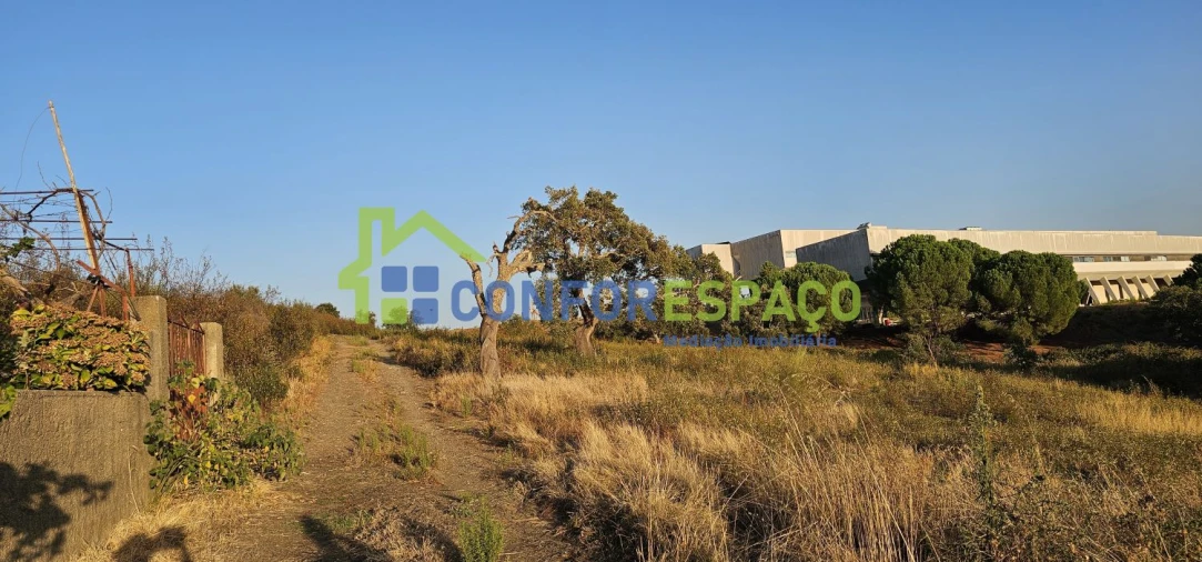 Quinta T0 para Venda em Castelo Branco Foto 32
