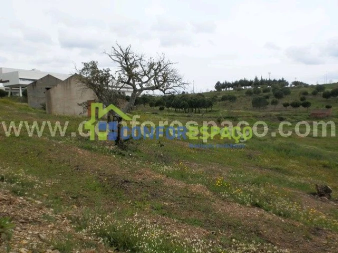 Quinta T0 para Venda em Castelo Branco Foto 12