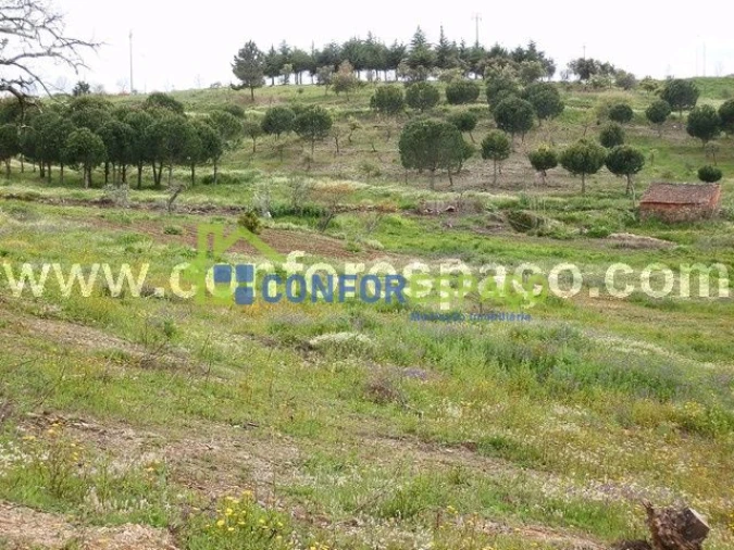 Quinta T0 para Venda em Castelo Branco Foto 13