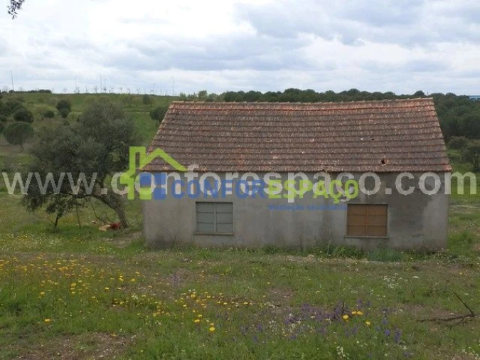 Quinta T0 para Venda em Castelo Branco Foto 6