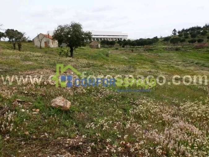 Quinta T0 para Venda em Castelo Branco Foto 9