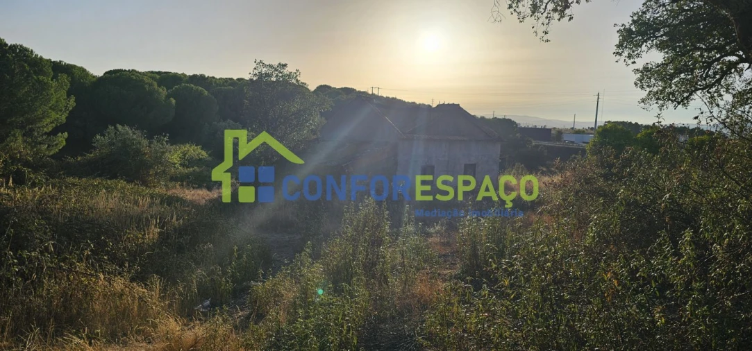 Quinta T0 para Venda em Castelo Branco Foto 25