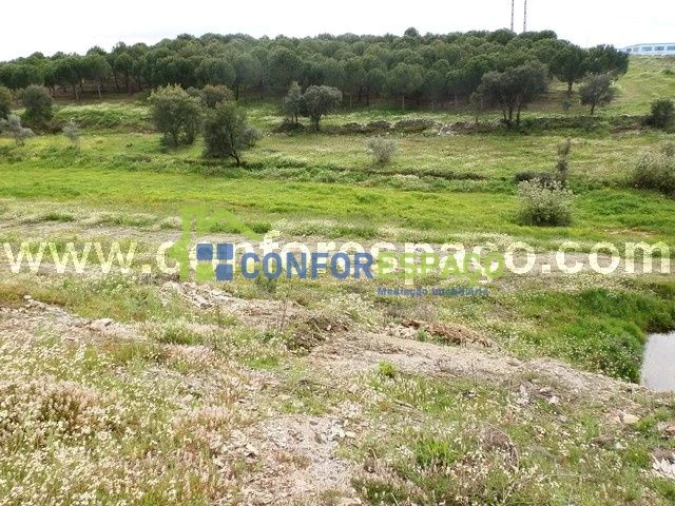 Quinta T0 para Venda em Castelo Branco Foto 8