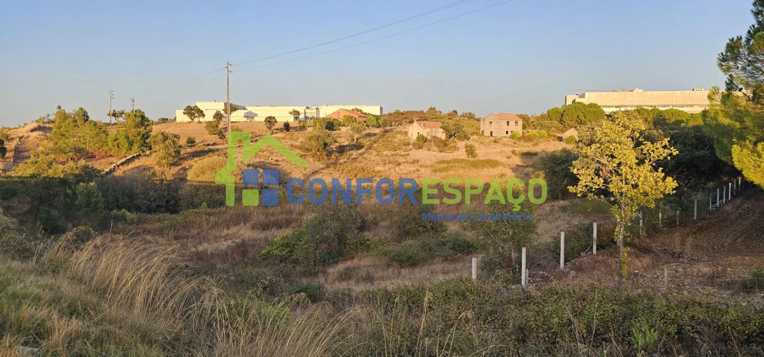 Quinta T0 para Venda em Castelo Branco Foto 1