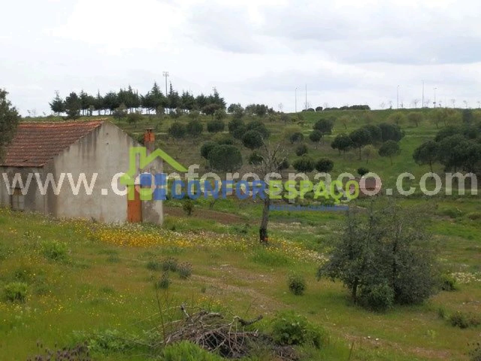 Quinta T0 para Venda em Castelo Branco Foto 2