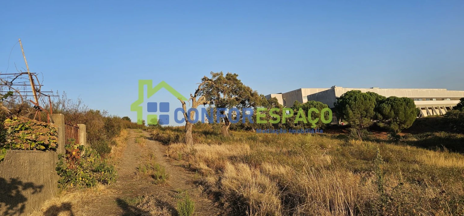 Quinta T0 para Venda em Castelo Branco Foto 32