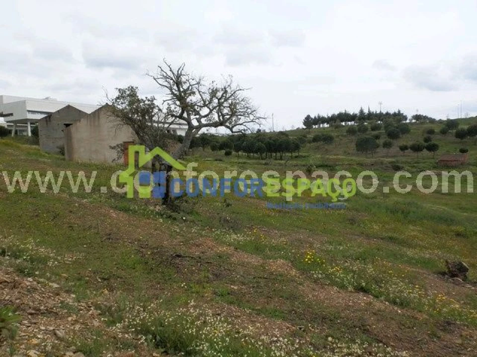 Quinta T0 para Venda em Castelo Branco Foto 12