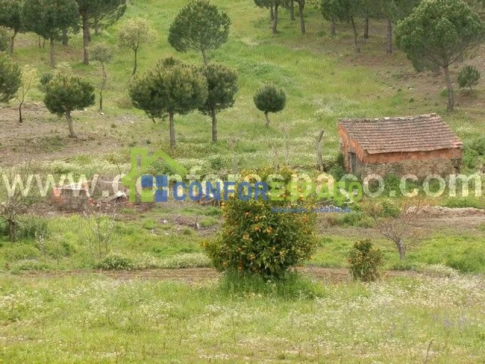 Quinta T0 para Venda em Castelo Branco Foto 1
