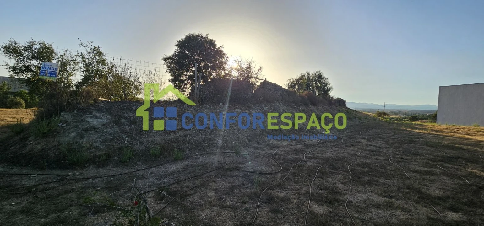 Quinta T0 para Venda em Castelo Branco Foto 23
