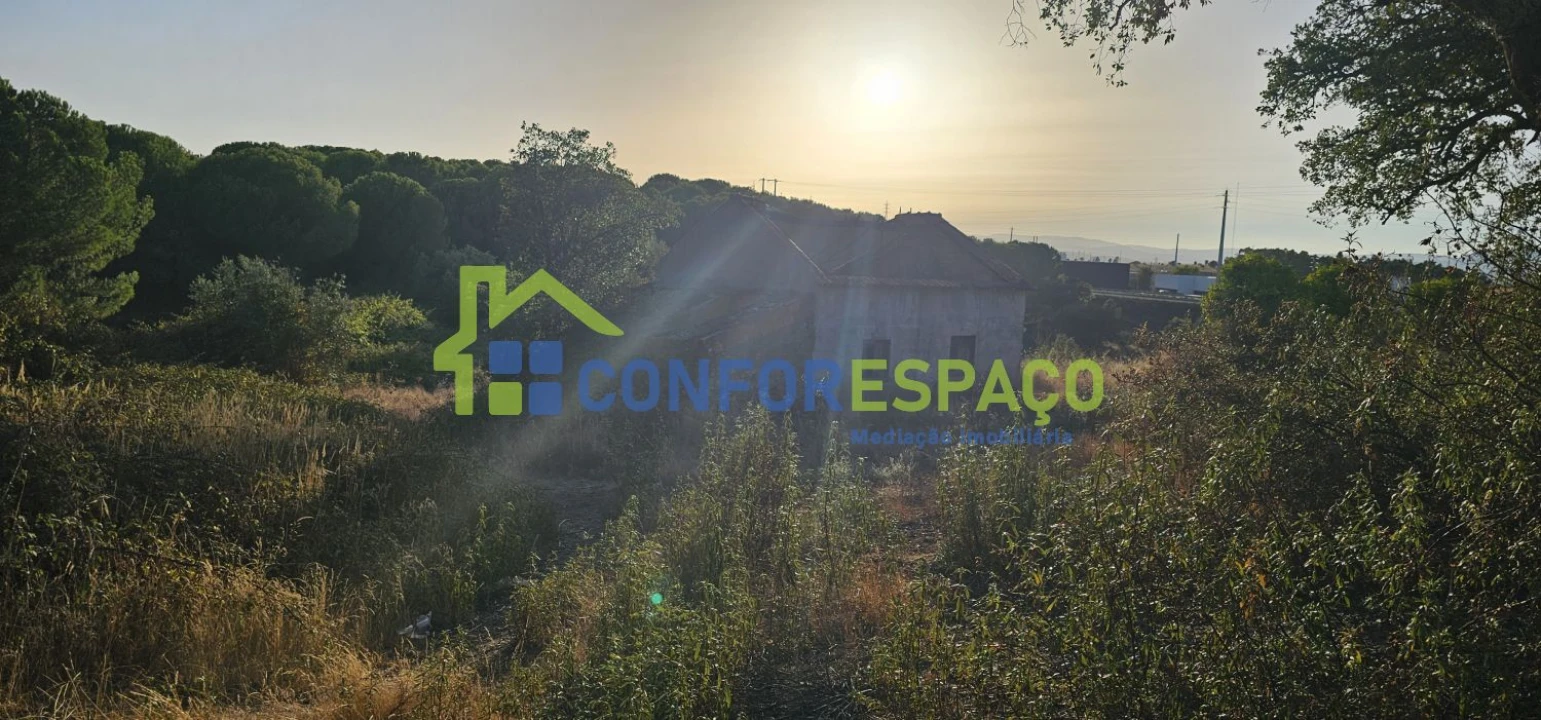 Quinta T0 para Venda em Castelo Branco Foto 25