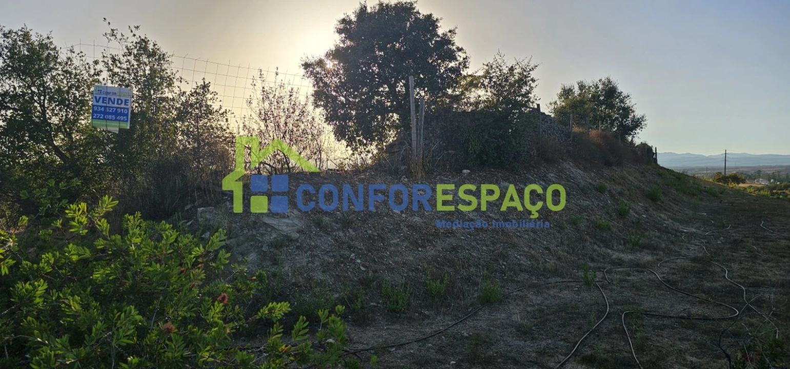 Quinta T0 para Venda em Castelo Branco Foto 5