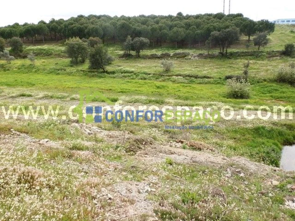 Quinta T0 para Venda em Castelo Branco Foto 8