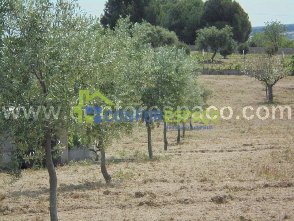 Terreno para Venda em Castelo Branco Foto 7