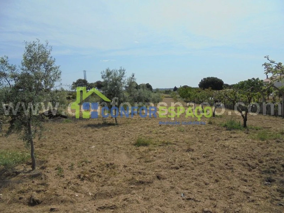 Terreno para Venda em Castelo Branco Foto 6