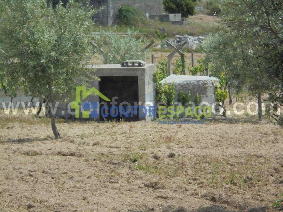 Terreno para Venda em Castelo Branco Foto 4