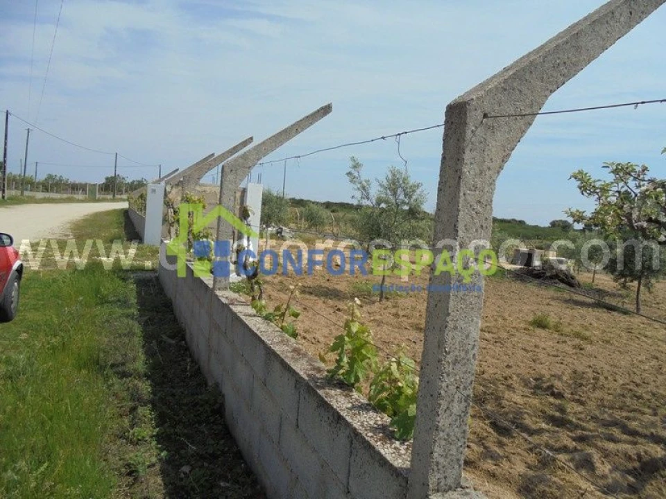 Terreno para Venda em Castelo Branco Foto 5