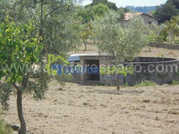 Terreno para Venda em Castelo Branco