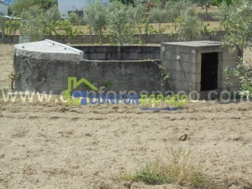Terreno para Venda em Castelo Branco