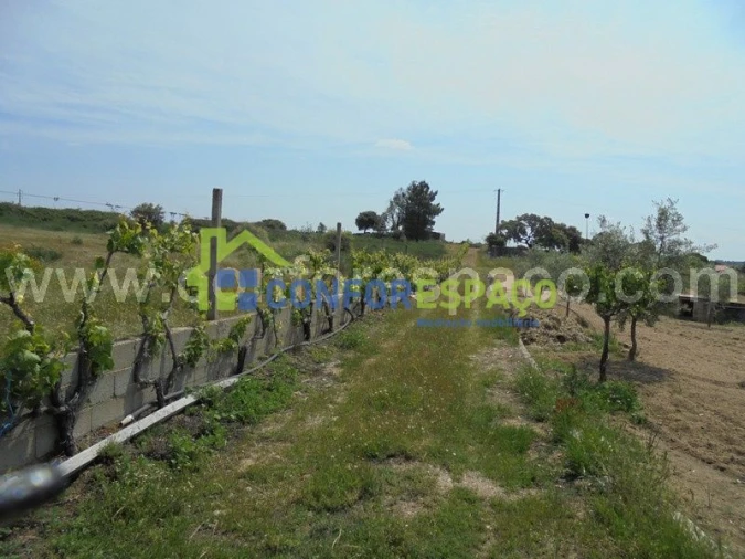 Terreno para Venda em Castelo Branco
