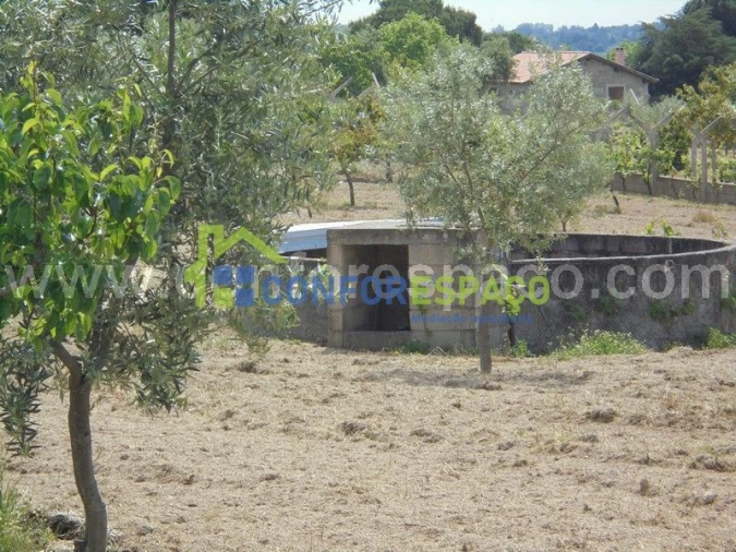 Terreno para Venda em Castelo Branco Foto 2