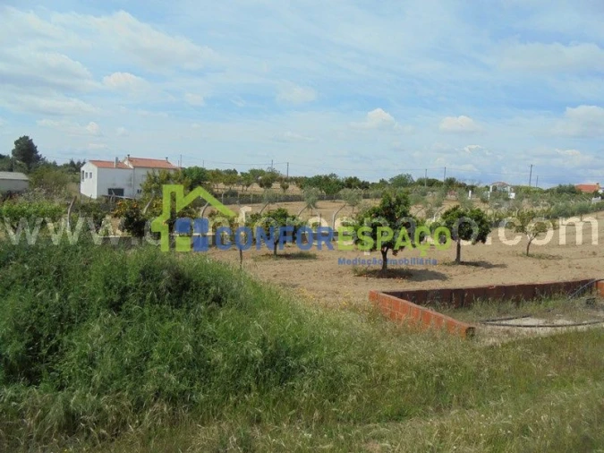 Terreno para Venda em Castelo Branco Foto 11
