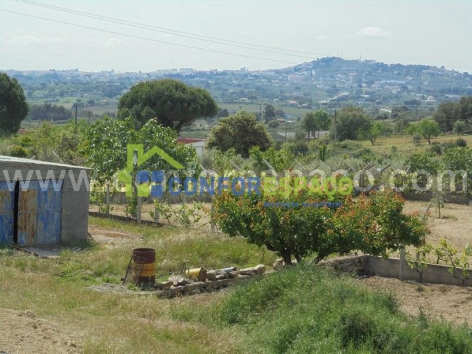 Terreno para Venda em Castelo Branco Foto 7