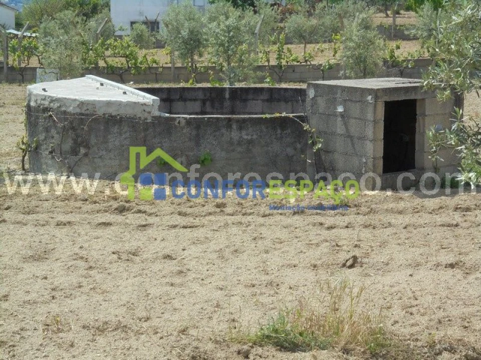 Terreno para Venda em Castelo Branco Foto 3