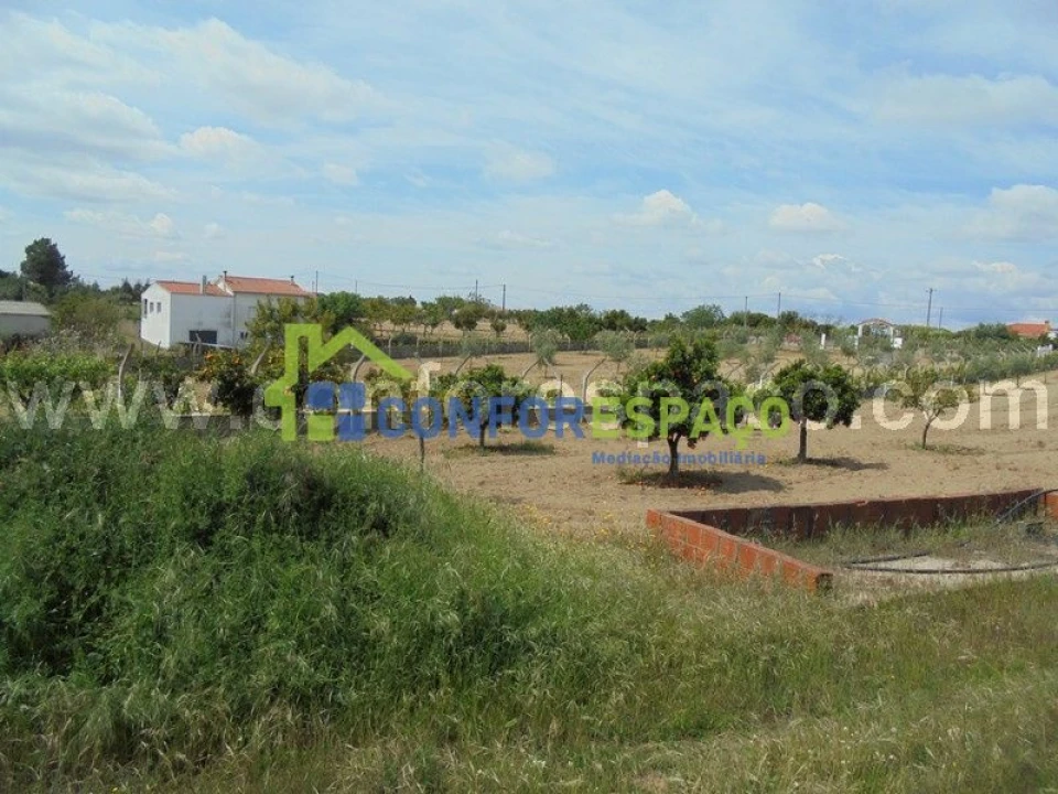Terreno para Venda em Castelo Branco Foto 11