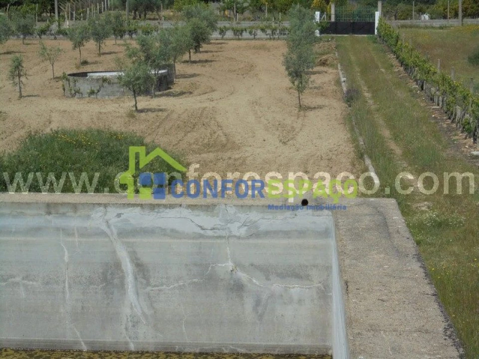 Terreno para Venda em Castelo Branco Foto 4