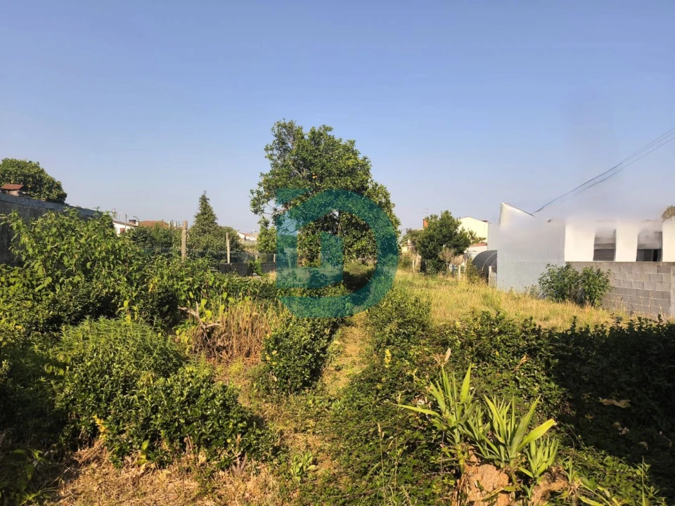 Moradia T3 para Venda em Macieira da Maia Foto 2