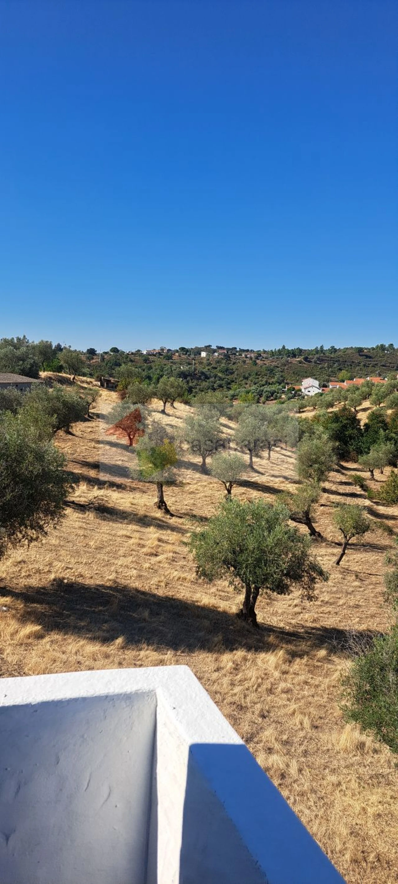 Moradia T3 para Venda em Montargil Foto 16