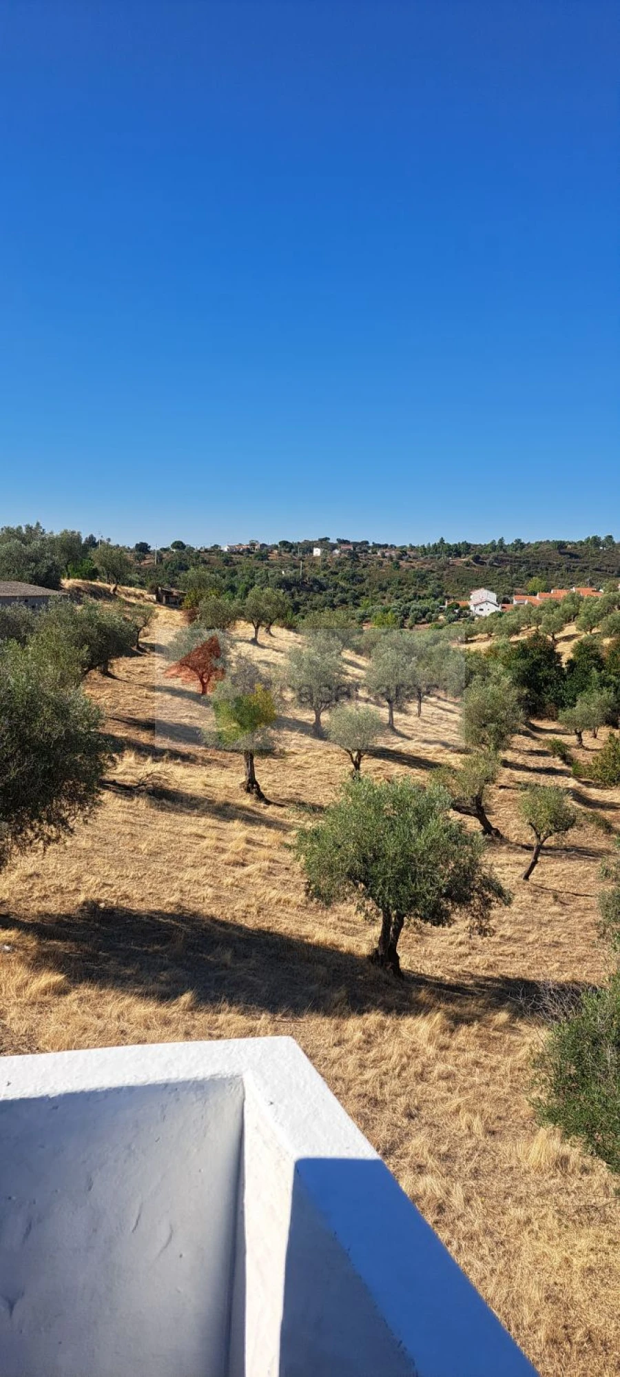 Moradia T3 para Venda em Montargil Foto 16