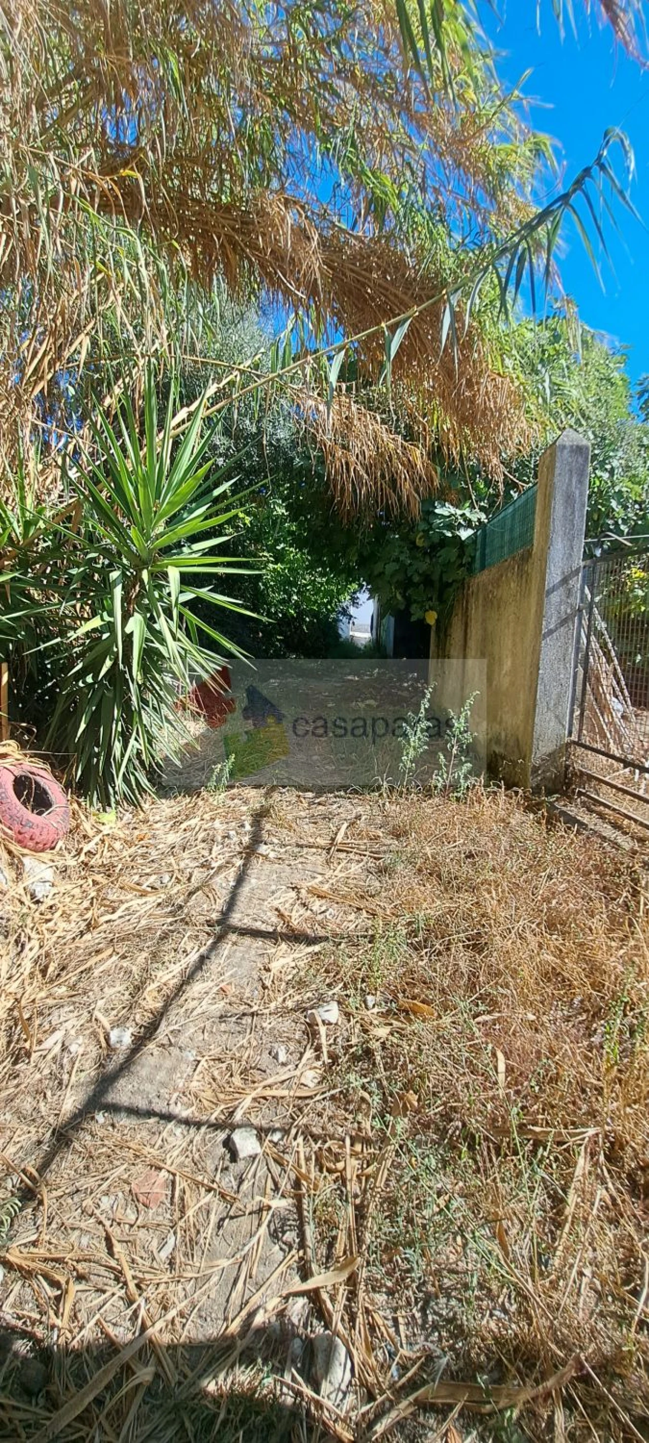 Moradia T3 para Venda em Montargil Foto 19