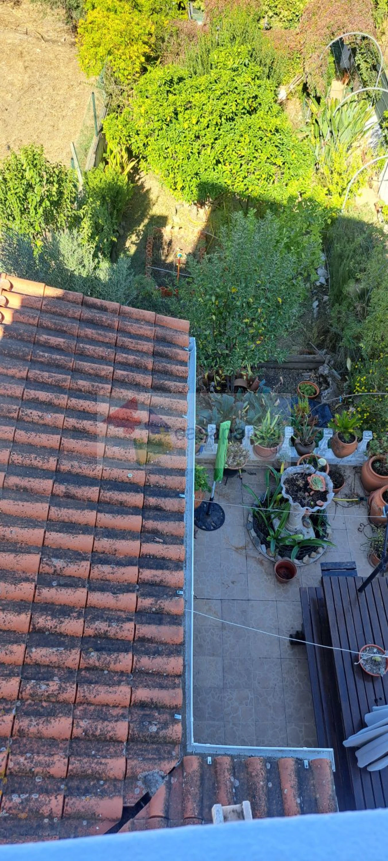 Moradia T3 para Venda em Montargil Foto 17