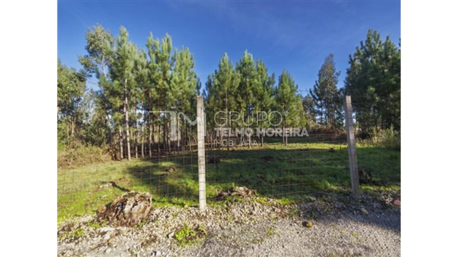 Terreno para Venda em Pedroso e Seixezelo Foto 2
