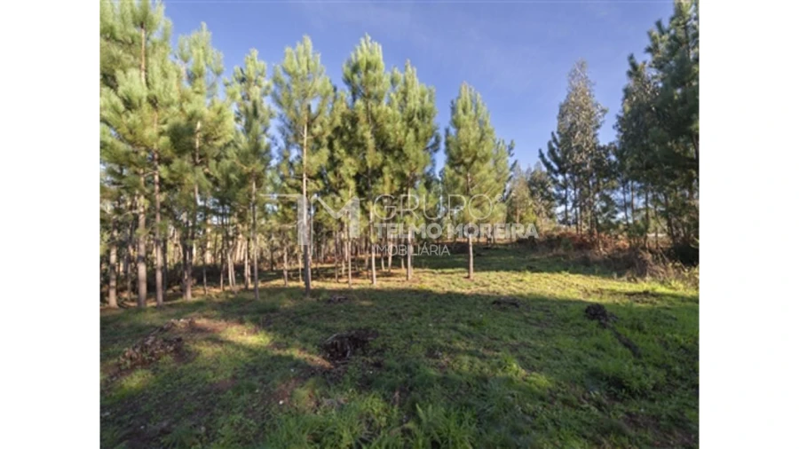 Terreno para Venda em Pedroso e Seixezelo Foto 4